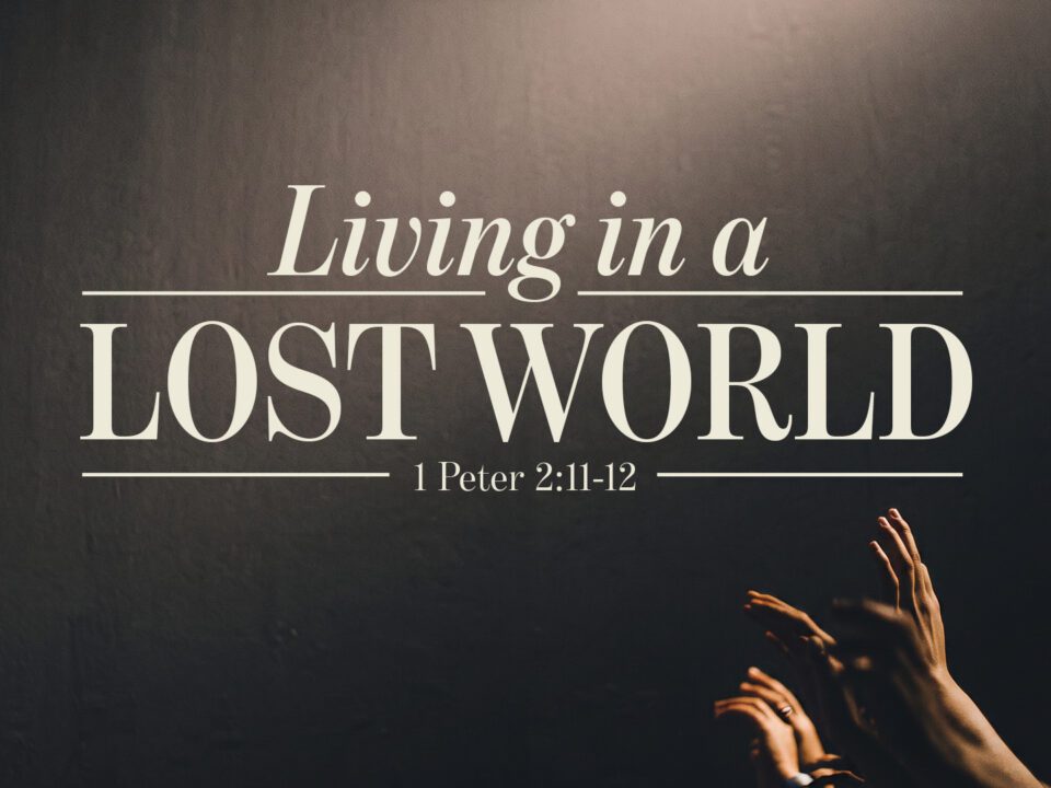 Living In A Lost World V2