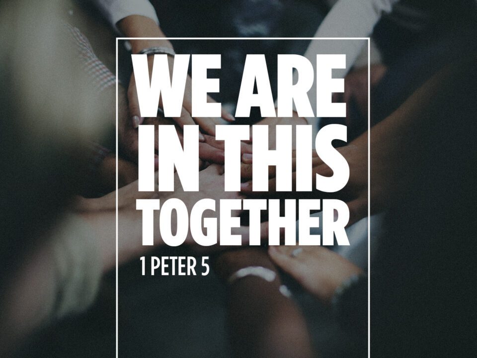 We Are In This Together V2